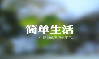 简单生活心态的句子随心 简单生活心态的句子随心而去