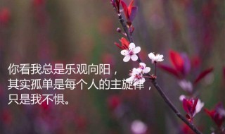 八个适合发朋友圈的句子（八个适合发朋友圈的句子简短）