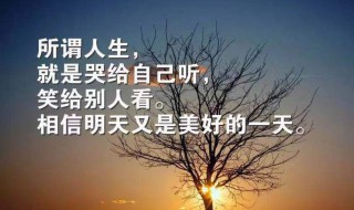 清晨发的优美句子朋友圈（清晨发的优美句子朋友圈文案）