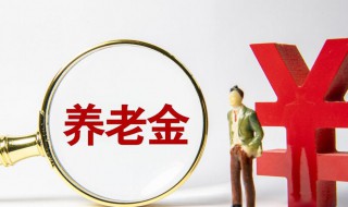 养老金怎么查（养老金怎么查询个人账单明细）