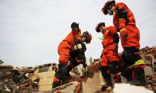 地震感人事迹 地震的感人故事