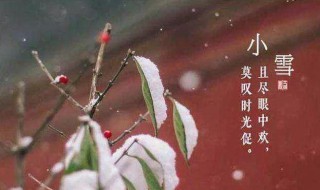 小雪节气吃什么传统食物 小雪节气我们可以吃哪些食物有益健康