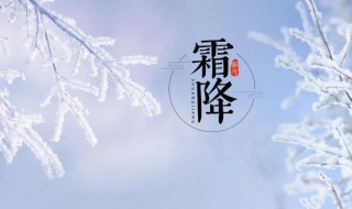 霜降节气的风俗食物（霜降节气的风俗食物是什么）