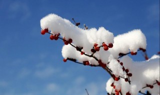 雪的形成（雪的形成原因）