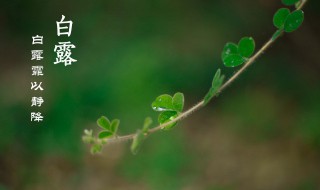 白露节气的特点和风俗（秋分节气的特点和风俗）