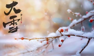 大雪节气寓意 大雪节气寓意什么