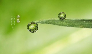 寒露节气的彦语 寒露时节谚语