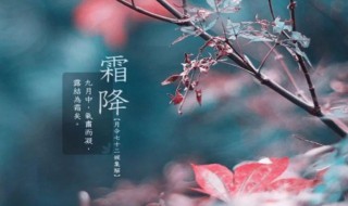 霜降节气吃什么（霜降节气吃什么好）