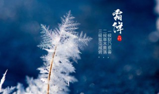 霜降节气的特点和风俗（霜降节气的特点和风俗吃什么）