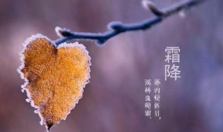 霜降节气的寓意和传统 霜降的节气解读