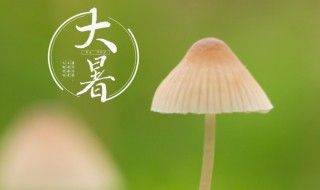 大暑节气的寓意和传统 大暑节气的寓意和传统风俗