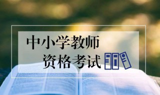 教师资格证小学中学的区别（教师资格证小学和中学）