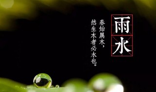 雨水节气文案（雨水节气文案400字内容）