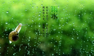 雨水节气推荐语（雨水节气推荐语句）