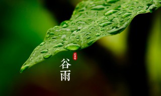 谷雨节气是什么意思（谷雨节气是什么意思和含义呢）