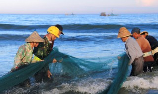 大海里面有什么 大海里面有什么海洋生物图片和名字