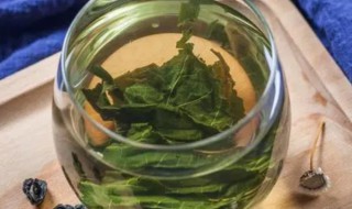 桑叶茶怎么泡（桑叶茶怎么泡制最好）