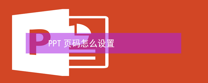 PPT页码怎么设置（wpsppt页码怎么设置）