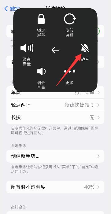 iPhone相机快门声关不掉