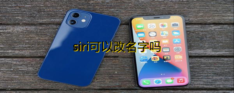 siri可以改名字吗 苹果语音唤醒siri可以改名字吗