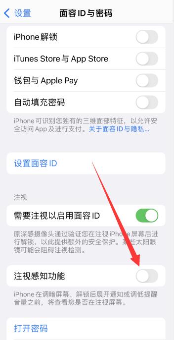 iPhone12顶部红点闪烁怎么设置