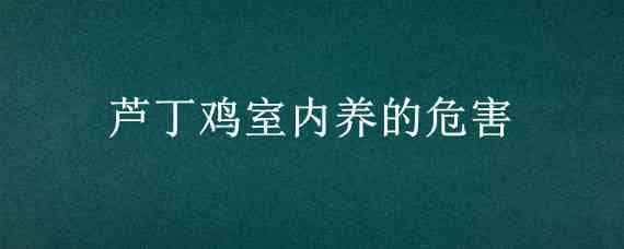 芦丁鸡室内养的危害_养鸡人必看 家庭养芦丁鸡养多少个比较适合