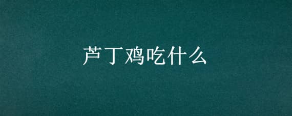 芦丁鸡吃什么_养鸡人必看（芦丁鸡吃啥）