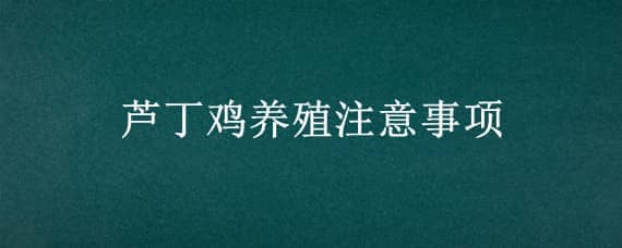 芦丁鸡养殖注意事项_养鸡人必看（芦丁鸡怎么养?）