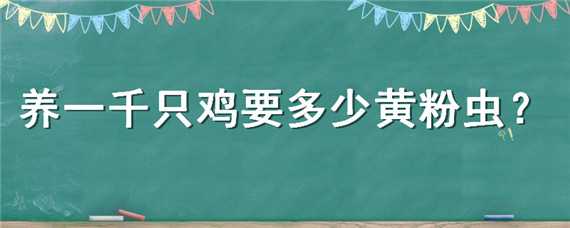 养一千只鸡要多少黄粉虫（黄粉虫可以养鸡吗）