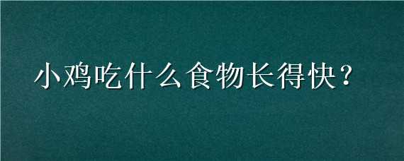 小鸡吃什么食物长得快 小鸡吃什么食物长得快点