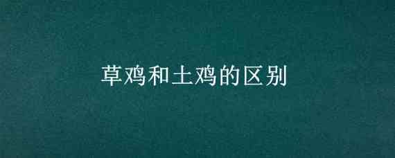 草鸡和土鸡的区别（土鸡和草鸡一样吗）