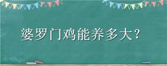 婆罗门鸡能养多大 婆罗门鸡好养活吗