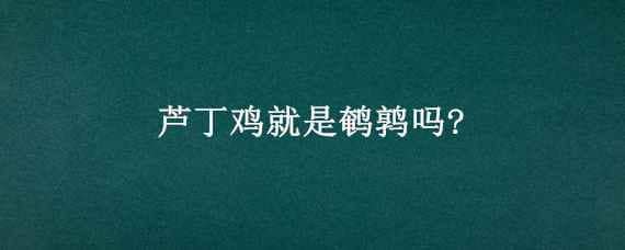 芦丁鸡就是鹌鹑吗?（芦丁鸡是不是就是鹌鹑）