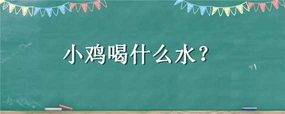 小鸡喝什么水（小鸡喝什么水不生病）