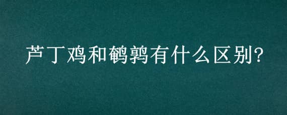 芦丁鸡和鹌鹑有什么区别?（芦丁鸡和鹌鹑蛋的区别）