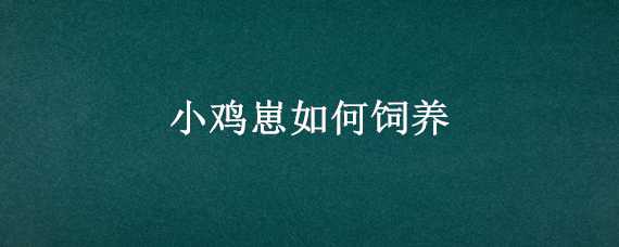 小鸡崽如何饲养 怎么养小鸡崽