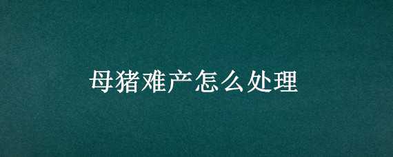 母猪难产怎么处理（母猪难产怎么处理消炎）