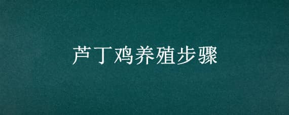 芦丁鸡养殖步骤 芦丁鸡养殖技术教程