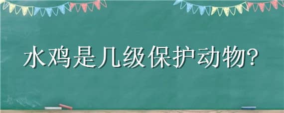 水鸡是几级保护动物? 白面水鸡是几级保护动物?