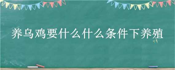 养乌鸡要什么什么条件下养殖（乌鸡适合什么地方养殖）