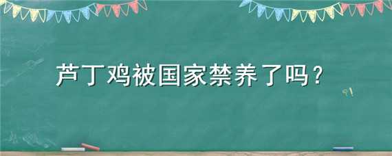 芦丁鸡被国家禁养了吗（芦丁鸡被国家禁养了吗知乎）