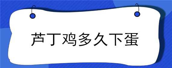 芦丁鸡多久下蛋 芦丁鸡踩背后多久可以下蛋