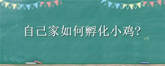 自己家如何孵化小鸡 自己家如何孵化小鸡方法,不用容器