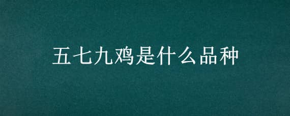 五七九鸡是什么品种 五颜六色的鸡是什么品种