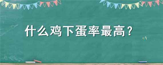 什么鸡下蛋率最高 什么鸡下蛋率最高呢