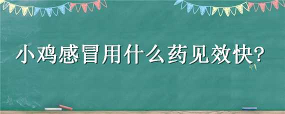 小鸡感冒用什么药见效快（小鸡感冒用什么药见效快一点）