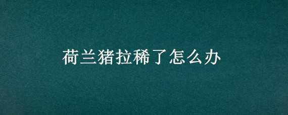 荷兰猪拉稀了怎么办 荷兰猪拉稀怎么回事