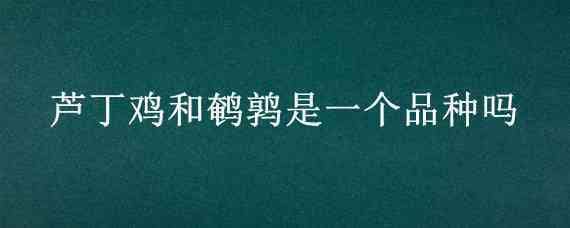 芦丁鸡和鹌鹑是一个品种吗（芦丁鸡和鹌鹑是一个品种吗图片）