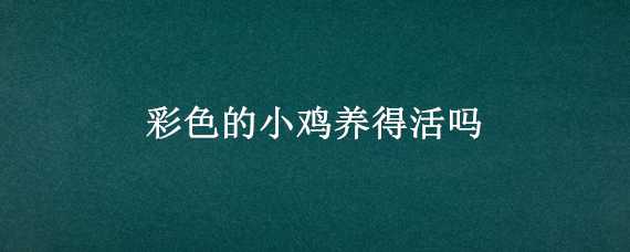 彩色的小鸡养得活吗（彩色的小鸡养得活吗视频）