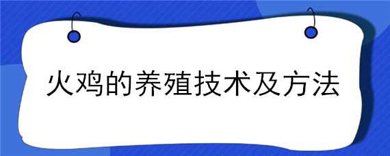 火鸡的养殖技术及方法 火鸡的养殖技术及方法视频